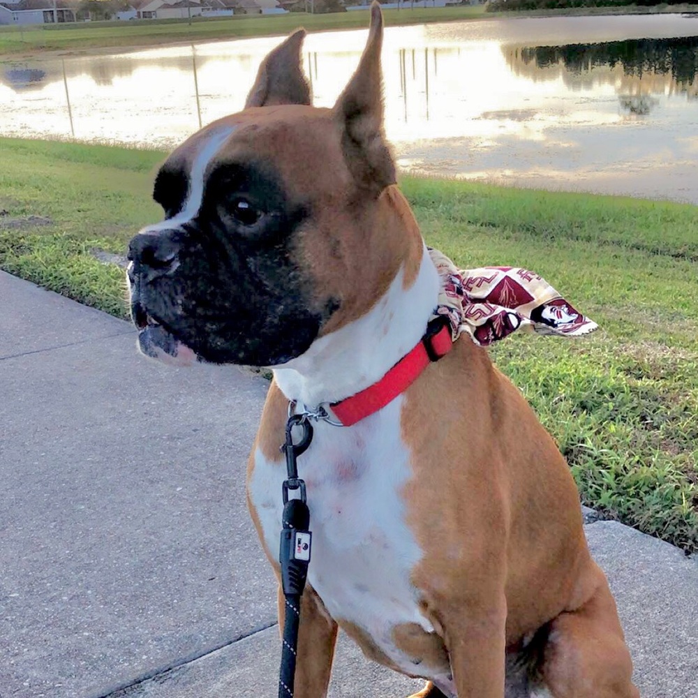 Meet your Posher, Angie